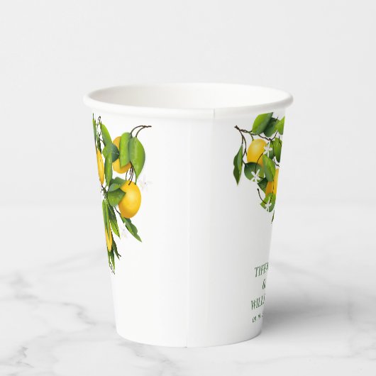 Lemon Citrus Fruit Cocktail Papieren Bekers (Rechts)