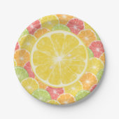 Lemon Citrus Slices Papieren Bordje (Voorkant)