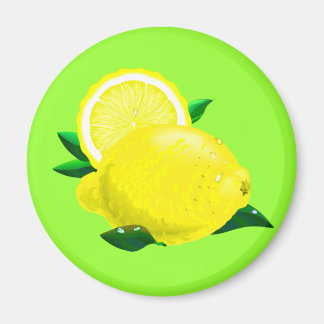 Lemon Drups Magneet