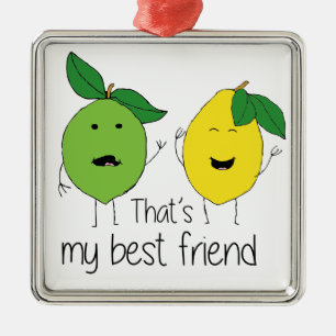 Lemon en Limoen Best Friends BFF Lemon Art Besties Metalen Ornament