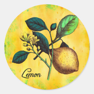 Lemon Fruit Flowers verlaat botanisch Ronde Sticker