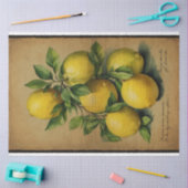 Lemon Fruit Illustration Ephemera No1 Tissuepapier (Craft)