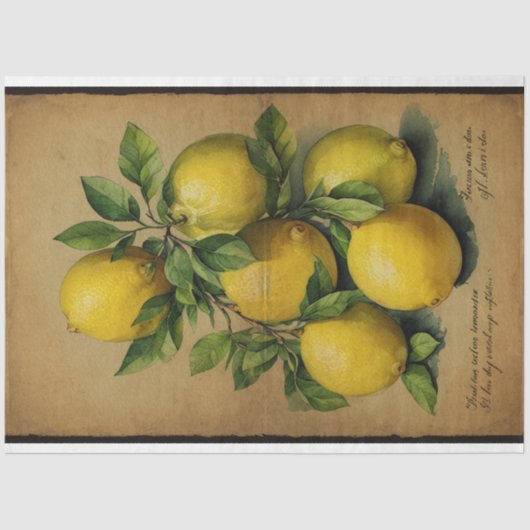 Lemon Fruit Illustration Ephemera No1 Tissuepapier (Voorkant)