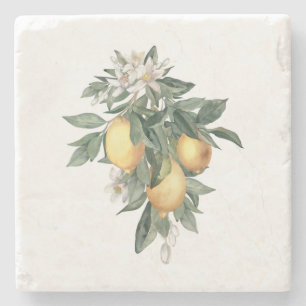 Lemon Fruit marble Stone Onderzetter