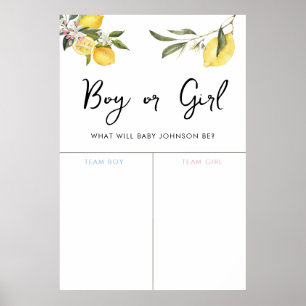 Lemon Garden Girl of Boy Baby Gender Voeding Sign Poster