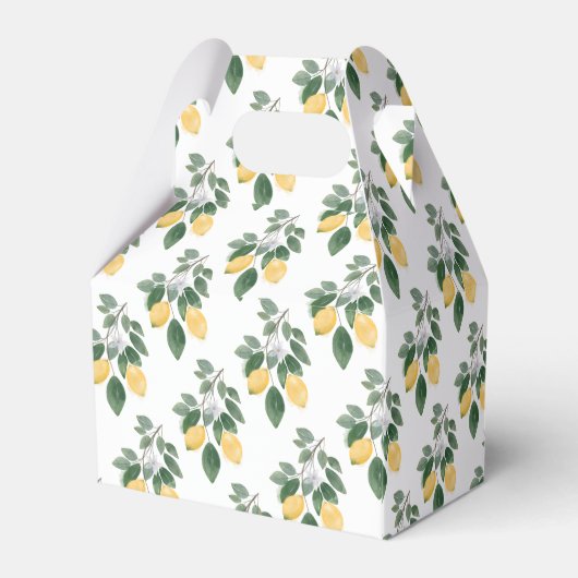 Lemon Girl Baby shower Bedankt Bedankdoosjes (Achterkant)