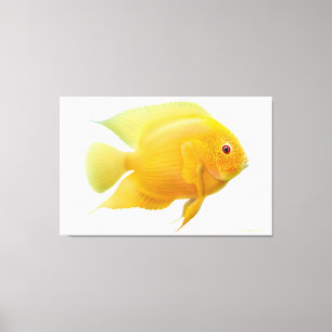 Lemon Gold Severum Cichlid Fish Wrapped Canvas Afdruk