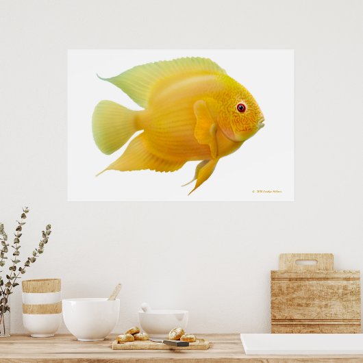 Lemon Gold Severum Cichlid Print (Keuken)