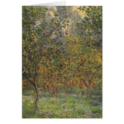 Lemon Grove in Bordighera door Claude Monet (Voorkant)