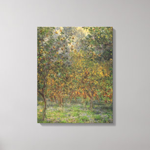 Lemon Grove in Bordighera door Claude Monet Canvas Afdruk
