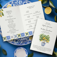 Lemon Grove Programme de mariage rural italien