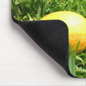 Lemon in de Muismat Grass | Make limonade (Hoek)