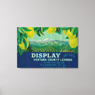 Lemon LabelVentura, CA Canvas Afdruk