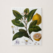 Lemon Legpuzzel (Verticaal)