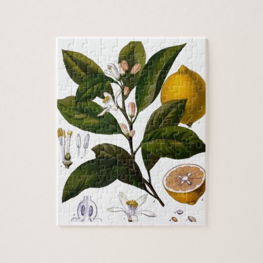 Lemon Legpuzzel (Verticaal)