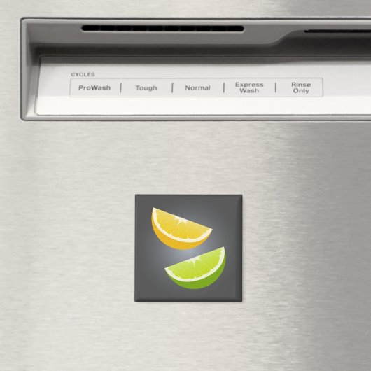 Lemon & Lime Citrus Slice Refrigerator Magnet (In Situ (Lave-vaisselle))