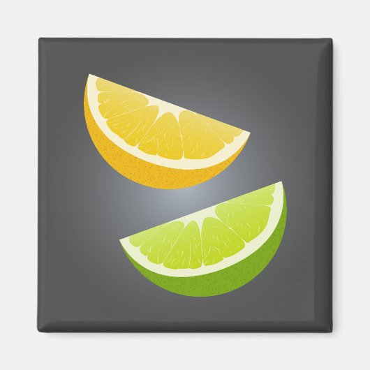 Lemon & Lime Citrus Slice Refrigerator Magnet (Devant)