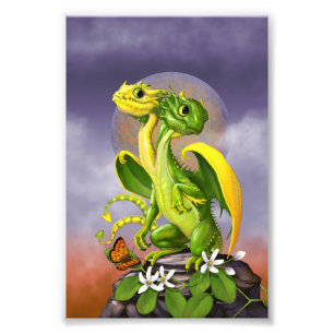 Lemon Limoen Dragon 4x6 Afdrukken Foto Afdruk