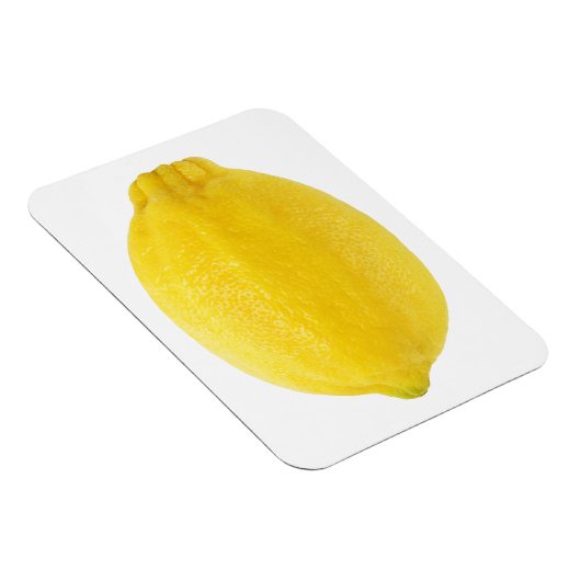 Lemon Magneet (Rechterzijde)