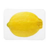 Lemon Magneet (Horizontaal)