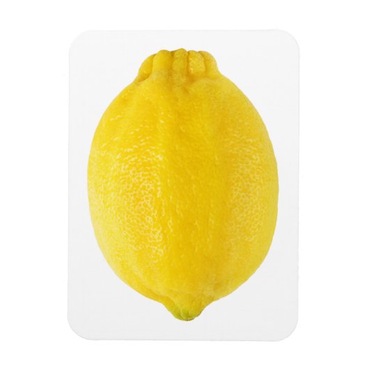 Lemon Magneet (Verticaal)