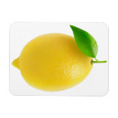 Lemon Magneet (Horizontaal)