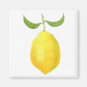 Lemon Magnet Magneet
