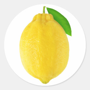 Lemon Ronde Sticker