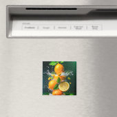Lemon Splash Magneet (Insitu (Vaatwasser))