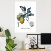 LEMON-studie botanische vintage poster (Thuiskantoor)
