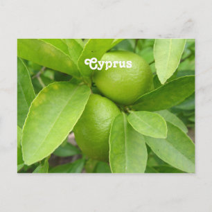 Lemon Tree Briefkaart
