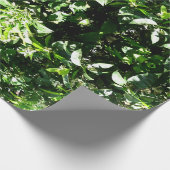 Lemon Tree Cadeaupapier (Hoek)