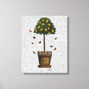 Lemon Tree Canvas Afdruk