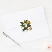 Lemon Vierkante Sticker (Envelop)