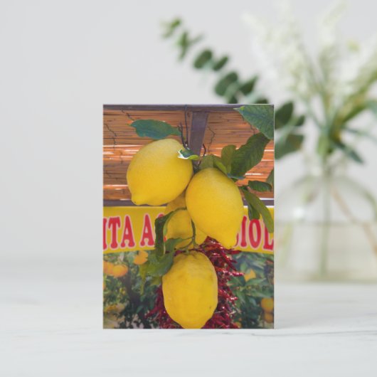 Lemon vine in Positano in Italië Briefkaart (Staand voorkant)