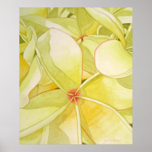 Lemon Yellow Frangipani Poster