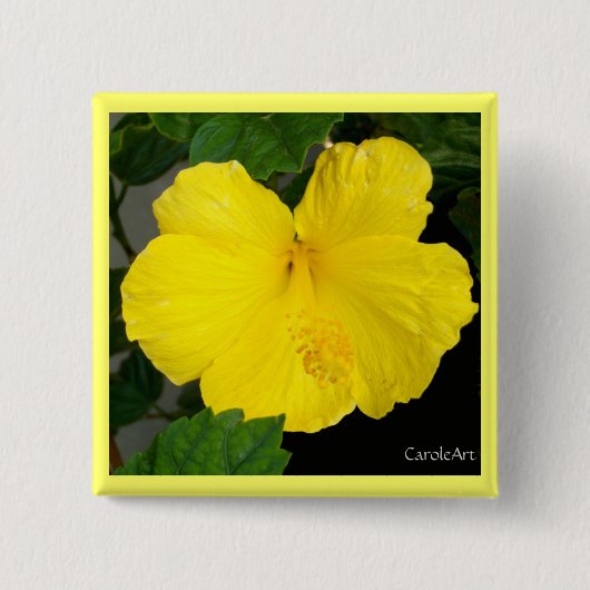 Lemon Yellow Hibiscus Vierkante Button 5,1 Cm (Voorkant)