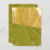 LemonLem... Briefkaart (Voorkant / Achterkant)