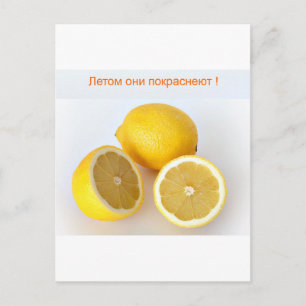 Lemons Briefkaart