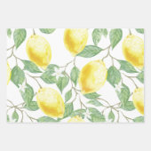 Lemons en lederen papierstellen met onmiddellijke  inpakpapier vel (Voorkant 3)