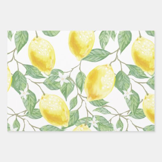 Lemons en lederen papierstellen met onmiddellijke  inpakpapier vel (Voorkant 3)