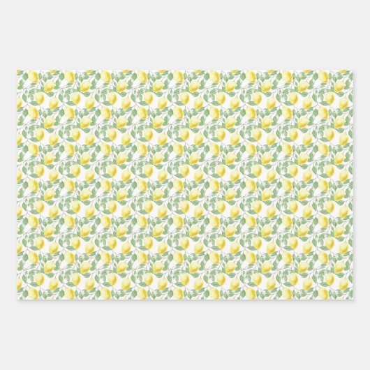 Lemons en lederen papierstellen met onmiddellijke  inpakpapier vel (Voorkant 2)