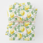 Lemons en lederen papierstellen met onmiddellijke  inpakpapier vel (In situ)