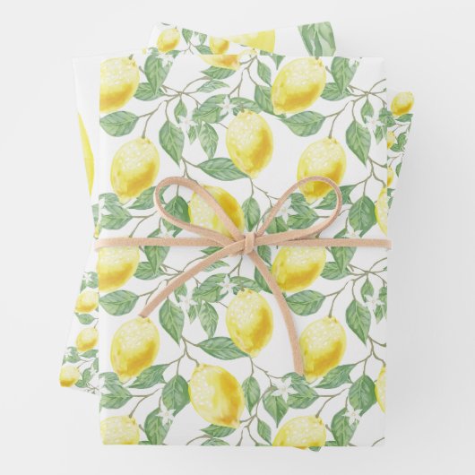 Lemons en lederen papierstellen met onmiddellijke  inpakpapier vel (In situ)