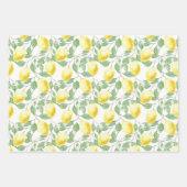 Lemons en lederen papierstellen met onmiddellijke  inpakpapier vel (Voorkant)