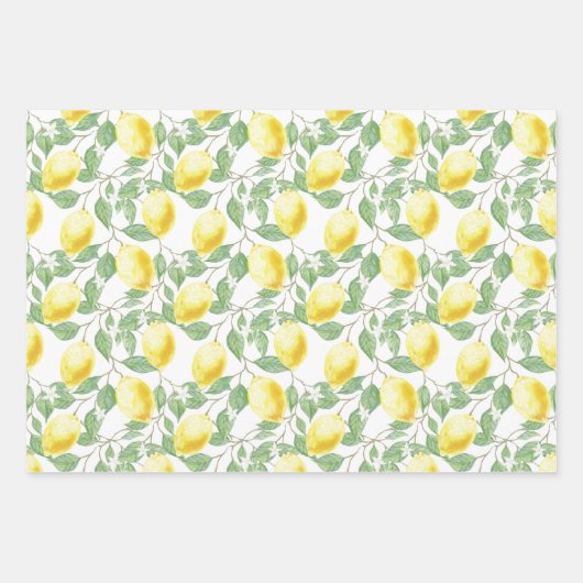 Lemons en lederen papierstellen met onmiddellijke  inpakpapier vel (Voorkant)