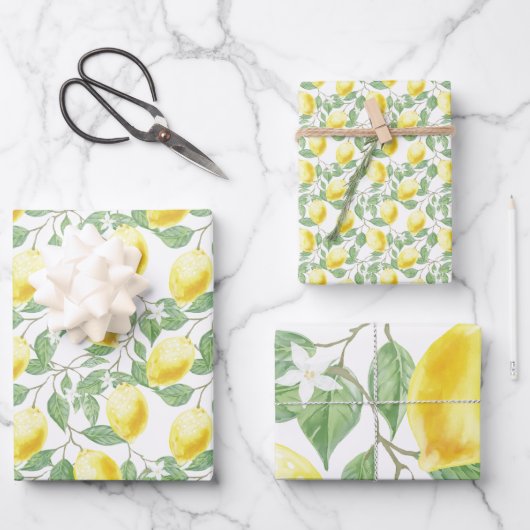 Lemons en lederen papierstellen met onmiddellijke  inpakpapier vel (Voorkant)