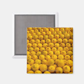 Lemons Magneet (Voorkant / Achterkant)