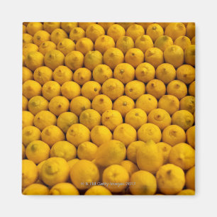 Lemons Magneet