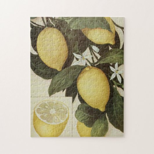Lemons puzzel (Verticaal)